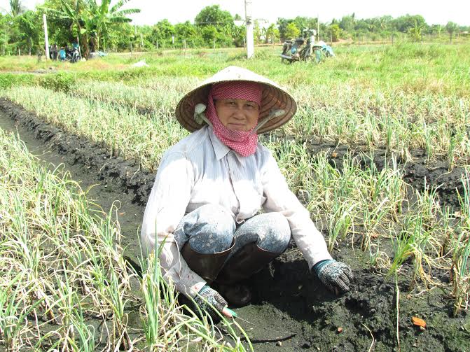 Hoà Thành: Nỗ lực xây dựng xã đạt tiêu chí về xây dựng nông thôn mới 